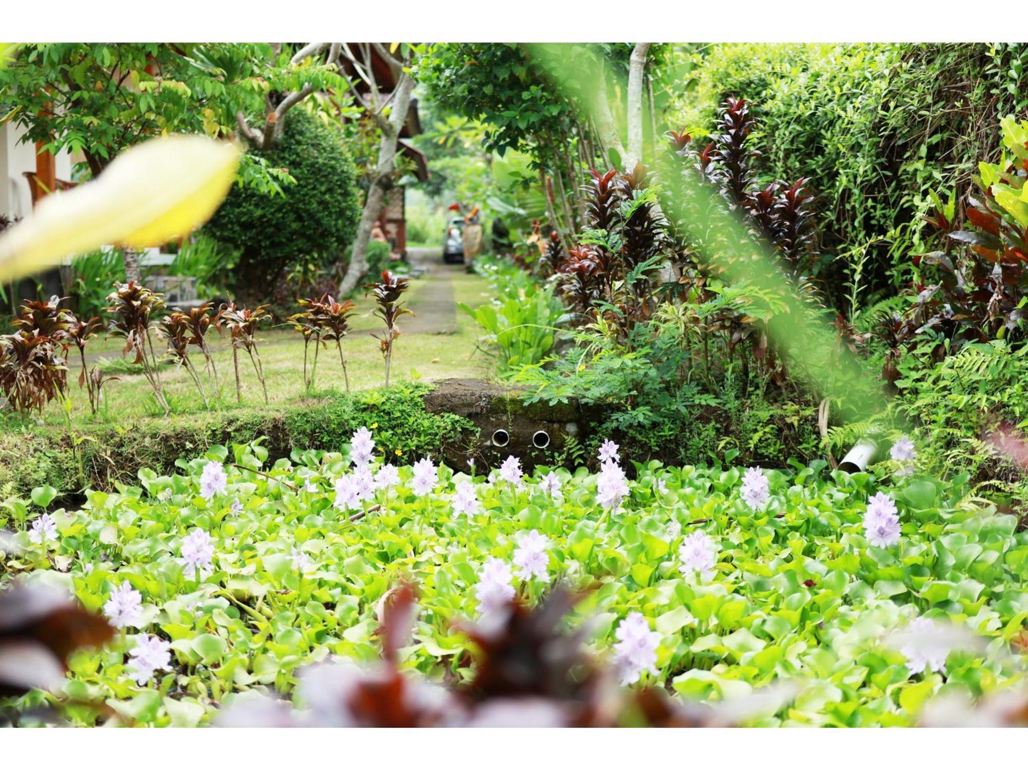 Gongwi Cottages Sidemen Sidemen (Bali) Exterior foto