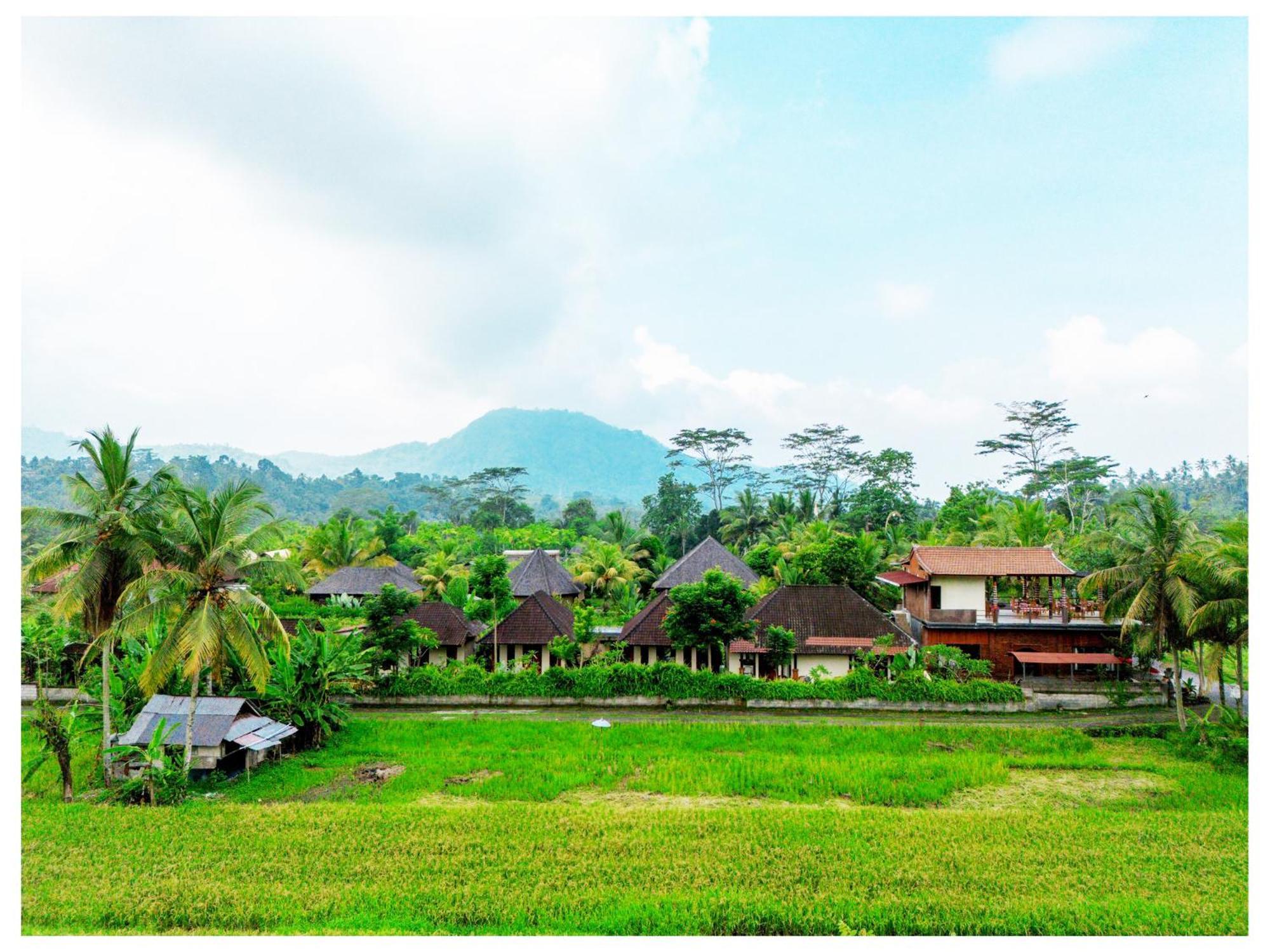 Gongwi Cottages Sidemen Sidemen (Bali) Exterior foto